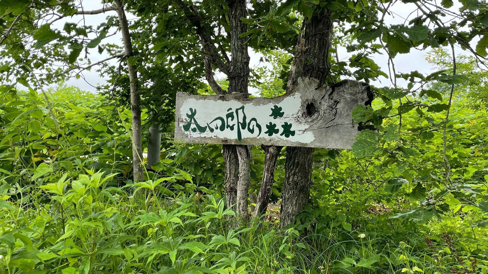 太四郎の森